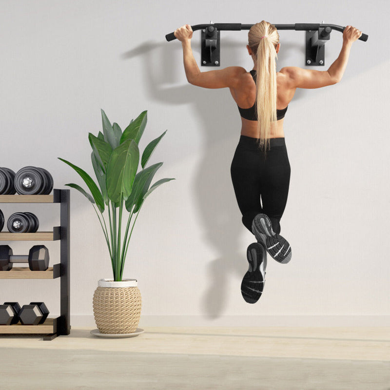 Wall Mounted__Directly to stud Pull up bars